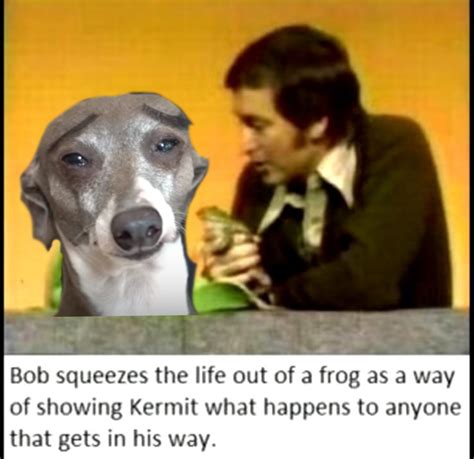 Kermit the dog just vibin tho : r/memes