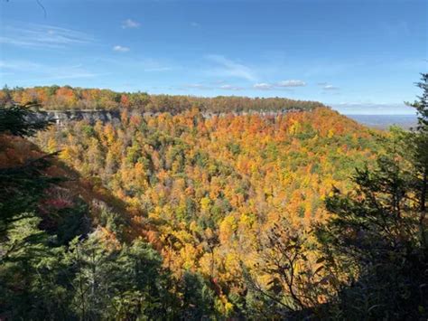 10 Best Hikes and Trails in Thacher State Park | AllTrails