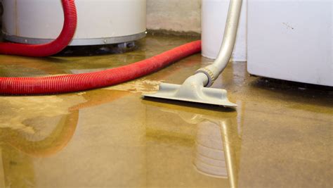 What Are the Five Stages of Water Damage Clean-Up?