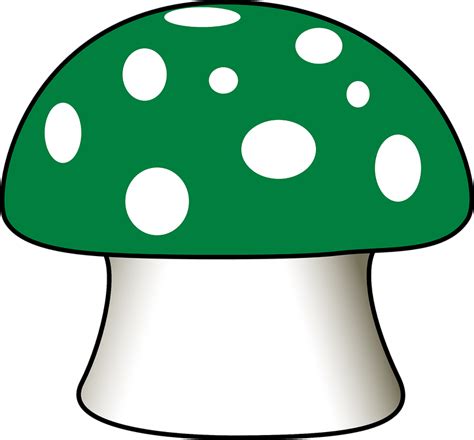 Image vectorielle gratuite: Champignon, Agaric De Mouche, Vert - Image gratuite sur Pixabay - 308062