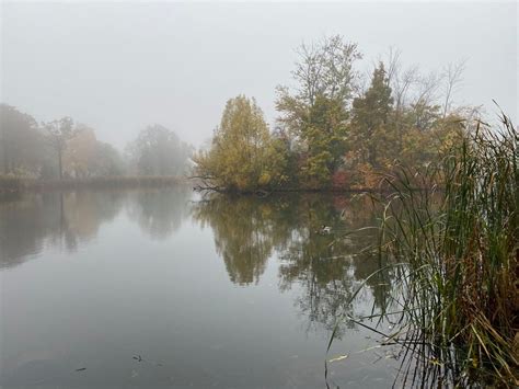 Humboldt Park’s Waters Are A Reflection Of A Rich Eco-History ...