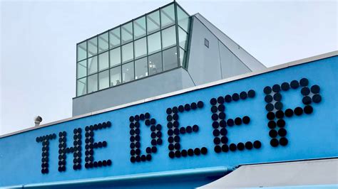 The Deep Aquarium Hull Vlog 14th October 2018 - YouTube