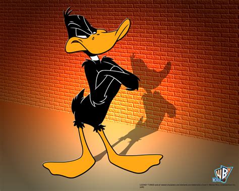 Daffy Duck - Looney Tunes Wallpaper