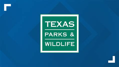 Texas State Parks now open for overnight camping reservations | newswest9.com