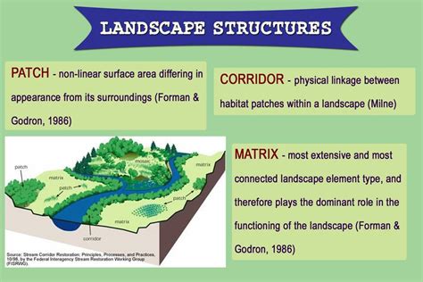 Landscape Ecology 101