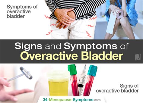 Signs and Symptoms of Overactive Bladder | Menopause Now