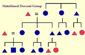 American Genealogy: Clues and Steps in the Ancestor Search: Matrilineal Descent: Finding the ...