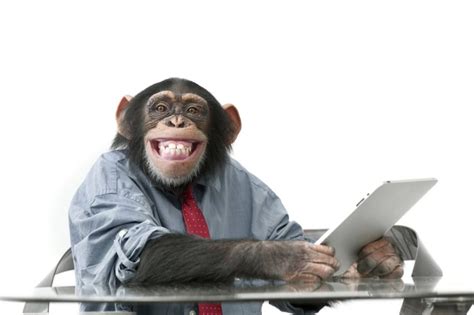 Create meme "chimpanzees , monkey behind a computer, monkey in the office" - Pictures - Meme ...