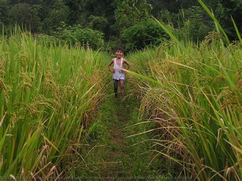 RURAL TOURISM IN KONKAN | DESTINATION KONKAN