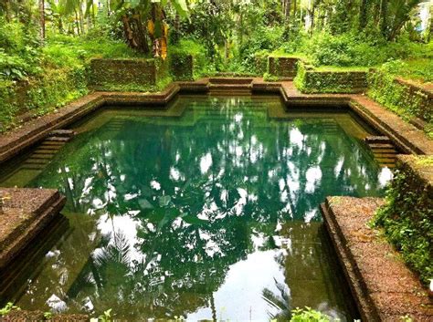 Kozham traditional bathing pond in kerala | Swimming pond, Natural pond, Natural swimming ponds