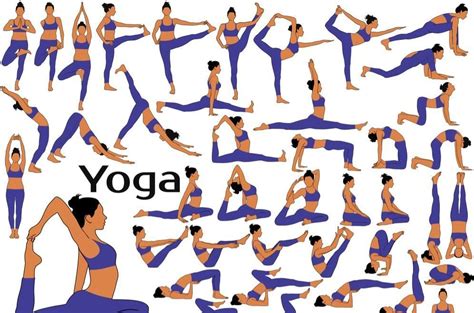 Yoga Teacher Central » Asana / Pose Categories & Families Hub