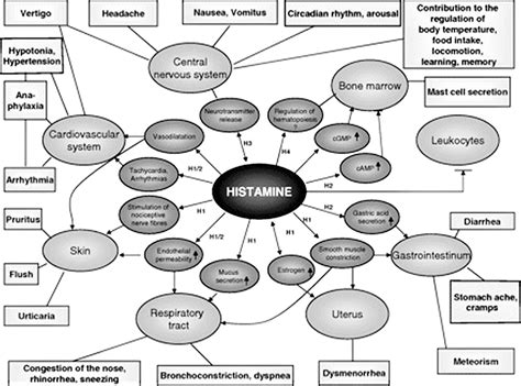 Histamine Intolerance - Causes, Symptoms, Diagnosis, Test, Treatment