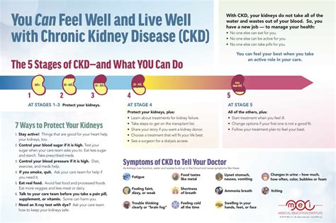 Chronic Kidney Disease Stages / Your kidneys filter wastes and excess ...