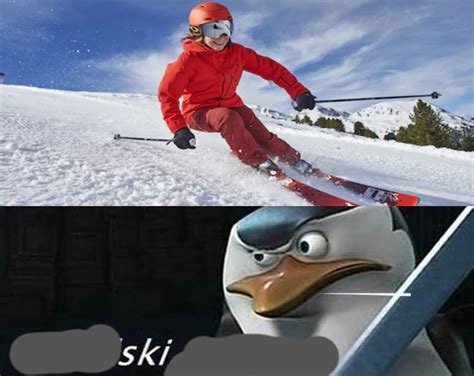 The Best "Kowalski, Analysis" Memes | Know Your Meme