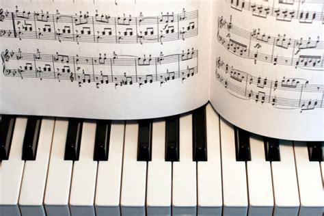 The 9 best piano lesson books for beginners in 2023