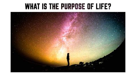 What Is The Purpose of Life? Does it Really Exist? Motivational Quote.