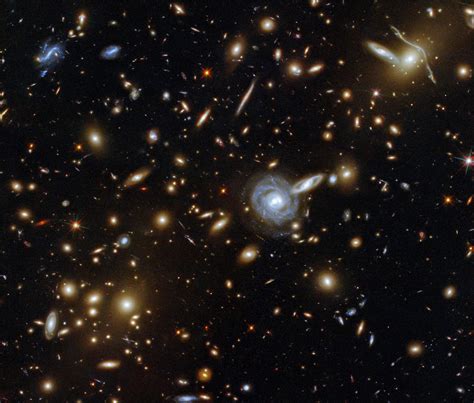 A Menagerie of Galaxies: Hubble Captures a Cluster With Galaxies of All Shapes and Sizes
