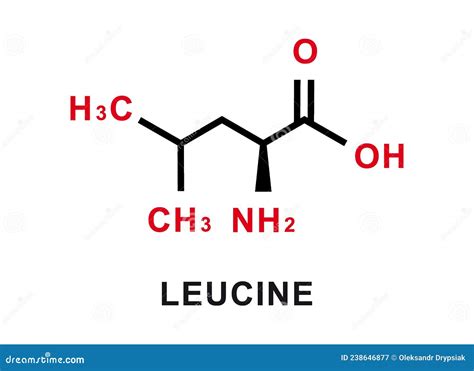 Leucine Chemical Formula. Leucine Chemical Molecular Structure. Vector ...