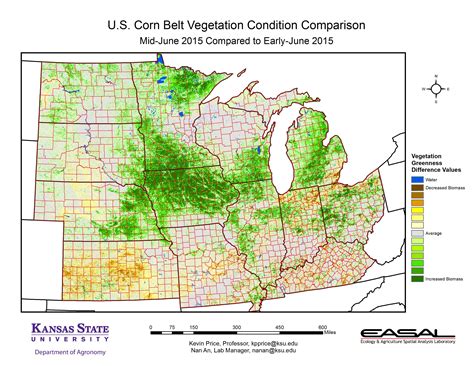 U.S. Corn Belt Vegetation Condition