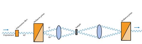 2: A schematic of the Nomarski microscope setup. The light passes ...