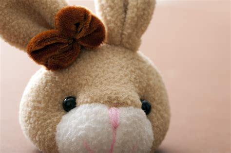 Face of a cute plush stuffed Easter bunny toy Creative Commons Stock Image