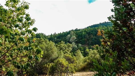 Lake Sonoma Trails – Healdsburg is Heavenly