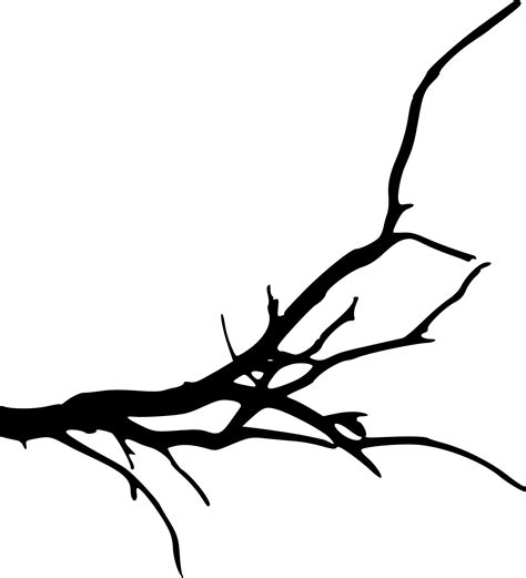 Branch Tree Silhouette Clip Art - Transparent Background Tree Branch - Png Download - Full Size ...