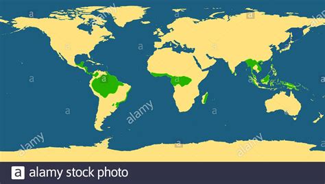 Rainforest map hi-res stock photography and images - Alamy