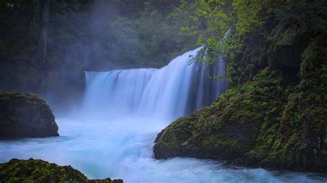 Download wallpaper forest, river, waterfall, Columbia River Gorge, Washington State, Little ...