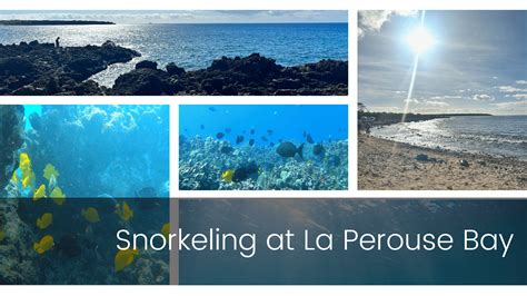 Snorkeling at La Perouse Bay | Boss Frog's Hawaii