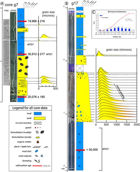 Axial facies of the Y channel, with core photos, core X-rays, porosity... | Download Scientific ...