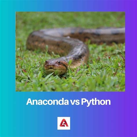 Difference Between Anaconda and Python