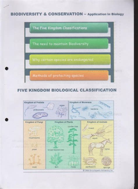 (PDF) fixurscore.comfixurscore.com/wp-content/uploads/2015/06/Q-Biodiversity-and...Kingdom of ...