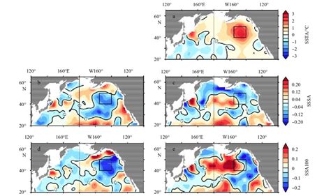 Sea surface temperature anomaly (SSTA) (a), sea surface SA (SSSA) (c ...