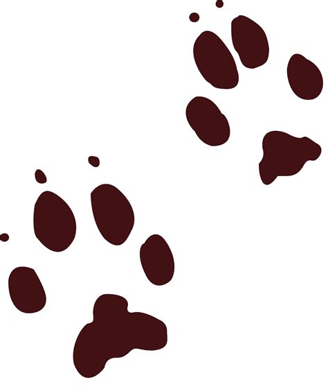 Fox Tracks drawing free image download