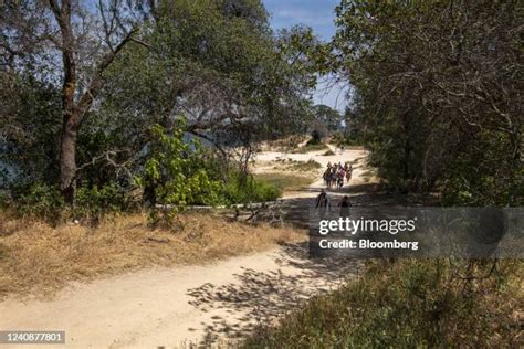 Granite Bay California Photos and Premium High Res Pictures - Getty Images