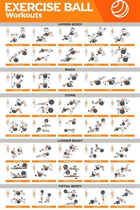 Exercise Ball Workout Chart | Printable Exercise Ball Workout Chart