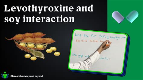 Levothyroxine interactions with soy: how to manage? - YouTube