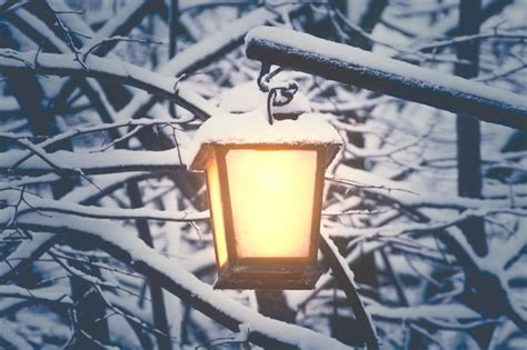 Premium Photo | Close-up of illuminated lantern hanging on tree