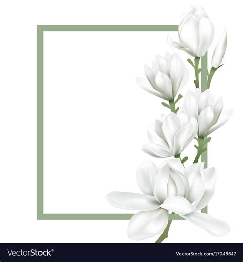 Frame with white flower Royalty Free Vector Image