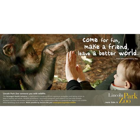 Lincoln Park Zoo - Tronvig Brand Strategy Process & Case Study