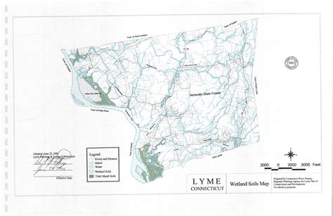 Atar Premisa Canciones infantiles lyme map cayó esponja nariz