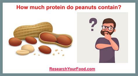 How much protein do peanuts actually contain? | Research Your Food