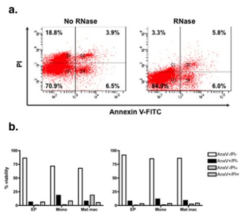 Modified Annexin V/PI significantly reduces false apoptosis/necrotic... | Download Scientific ...