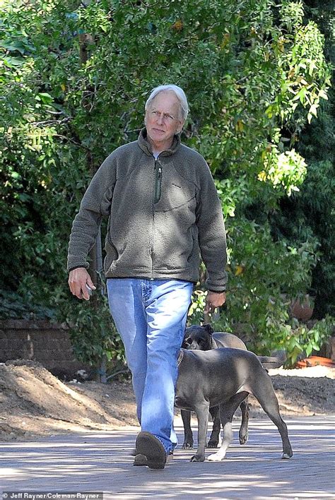 Retired NCIS star Mark Harmon walks his dogs as seen for the first time since leaving the show ...