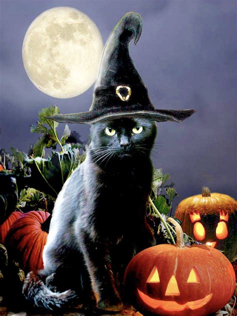 "Witchy Black Halloween Cat" Diamond Painting Kit (Full Drill) - Paint ...