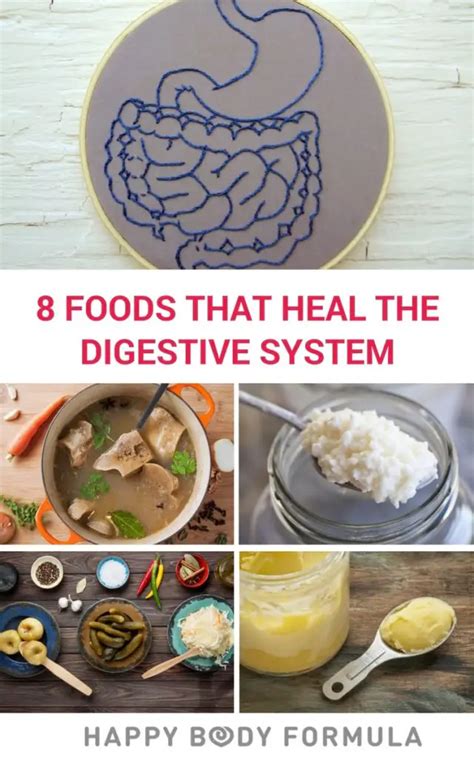 8 Foods That Heal The Digestive System – Happy Body Formula