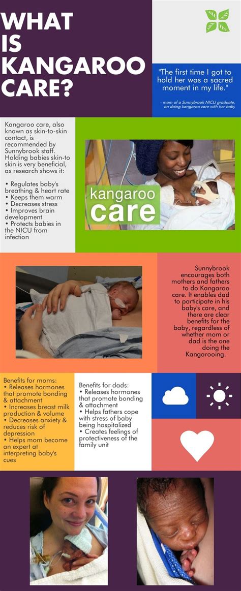 What is Kangaroo Care? | Kangaroo care, Newborn health, Baby infographic