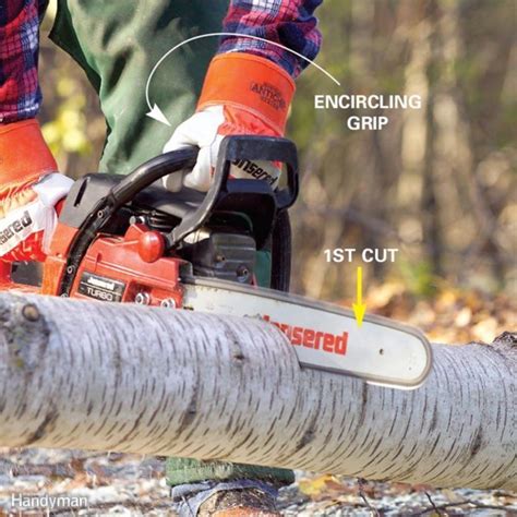 Top 10 Chain Saw Tips | The Family Handyman