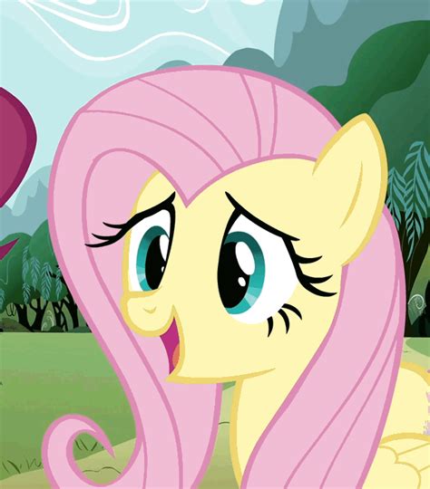 Another Fluttershy gif | My Little Pony: Friendship is Magic | Know Your Meme